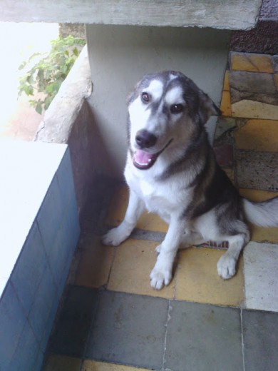 Princesssa 